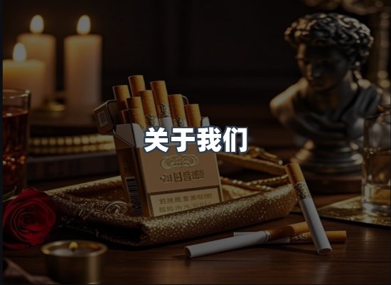 专业团队